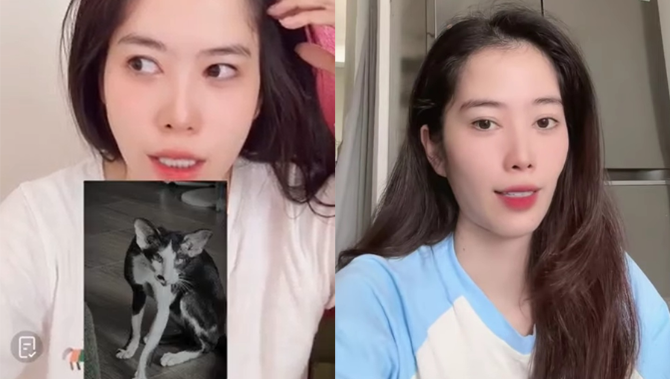 Nam Em gây ph.ẫ.n n.ộ khi nhốt mèo trong balo 8 tiếng, đến lúc thả ra thì thú cưng cứng ngắt